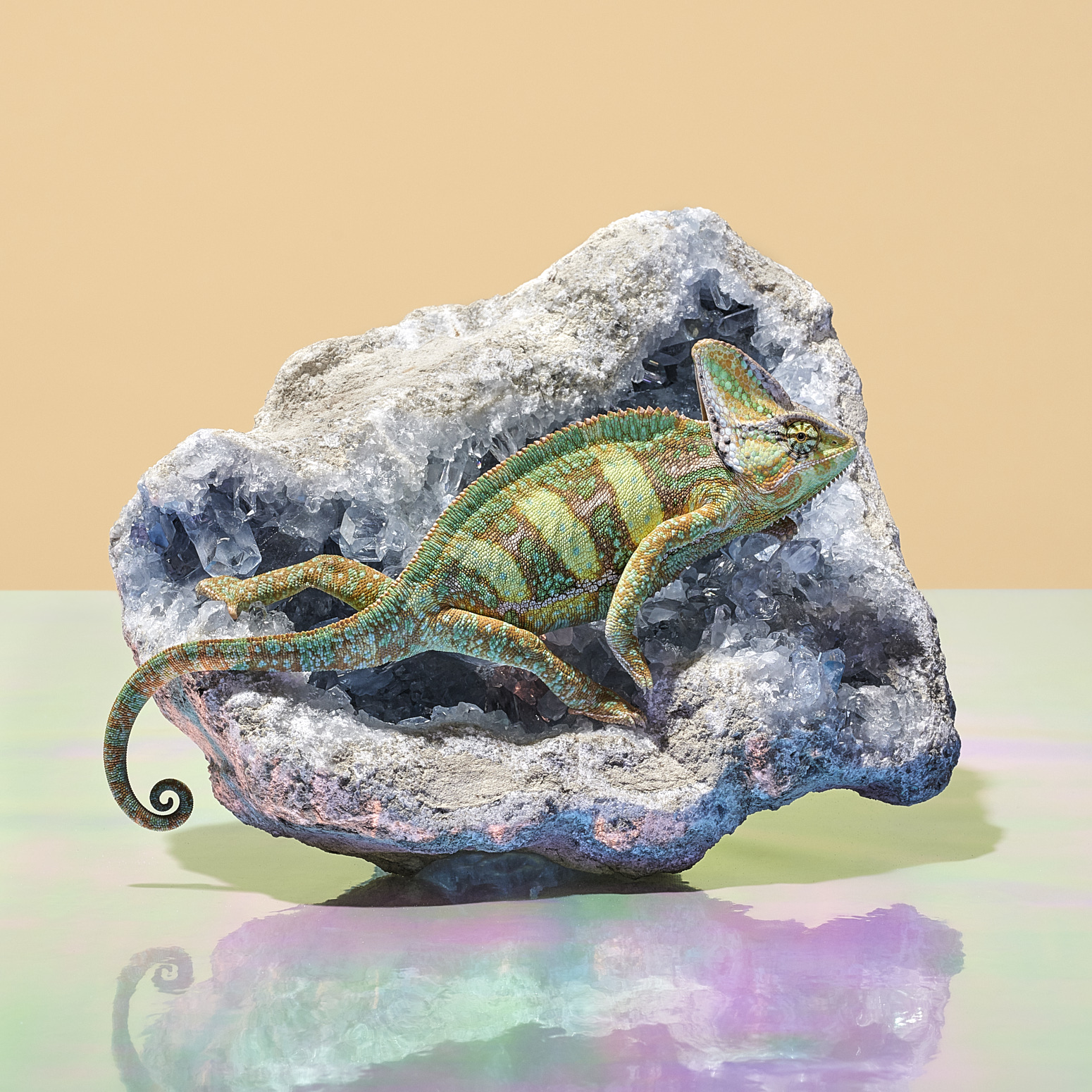 Veiled Chameleon on Crystal Structure